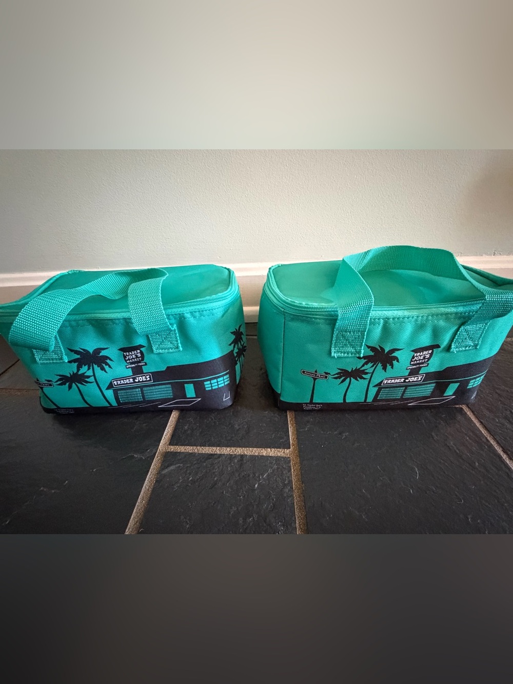 Trader Joe’s Insulated Lunch Totes- Reusable Cooler Bag.